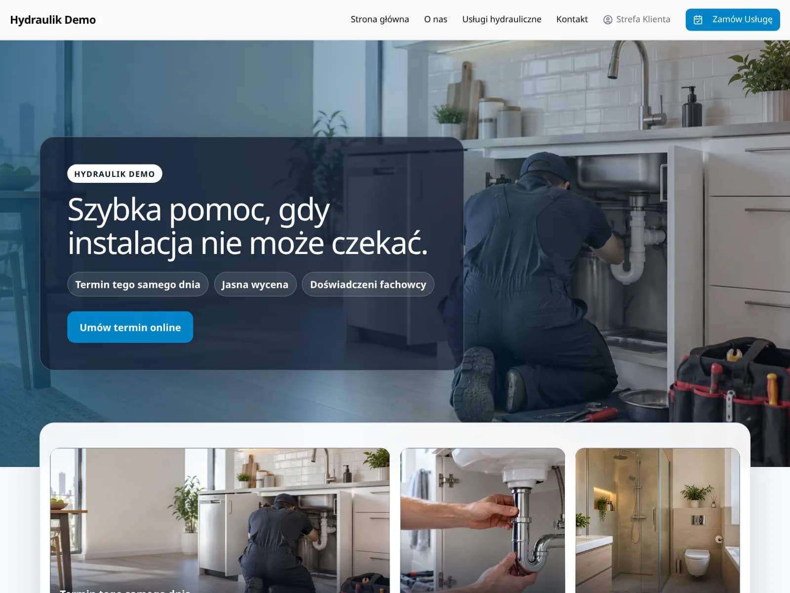 Wizytówka firmy demo w Terminarz24 (Usługi domowe i serwis): strona z ofertą i przyciskiem rezerwacji online