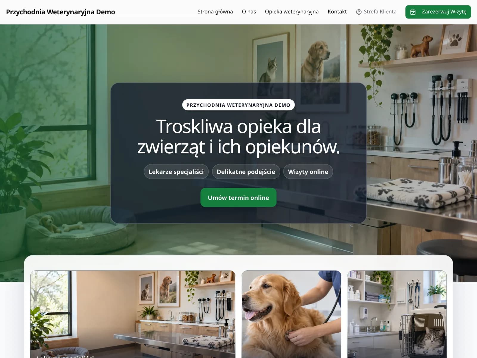 Wizytówka firmy demo w Terminarz24 (Przychodnie weterynaryjne): strona z ofertą i przyciskiem rezerwacji online